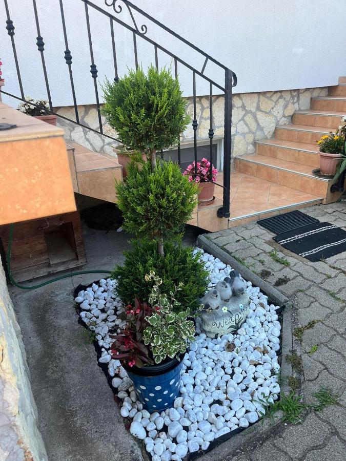 Rege 2 Apartment