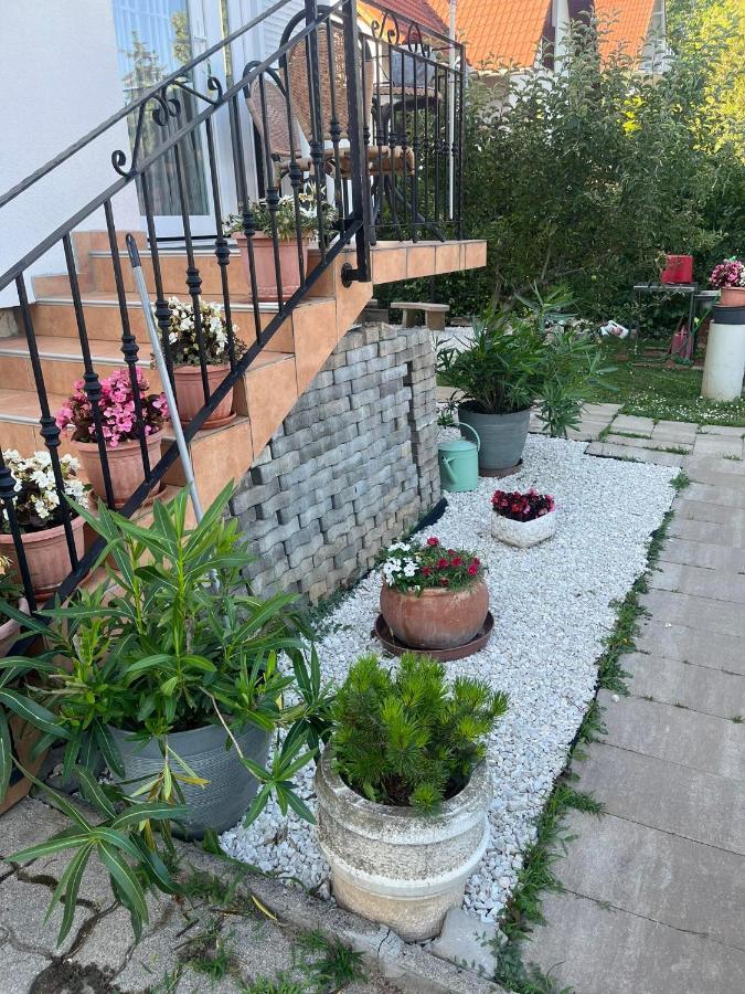 Rege 2 Apartment
