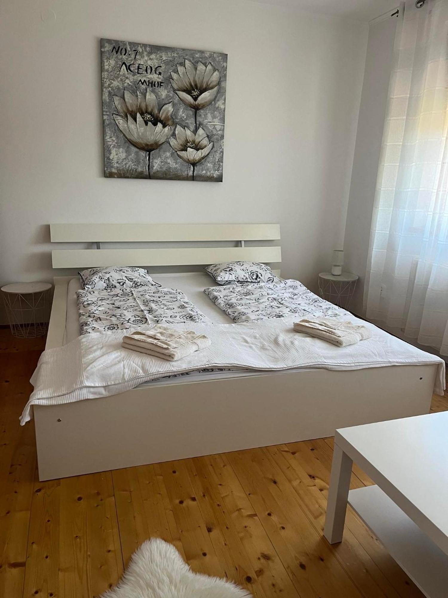 Apartment Rege 2