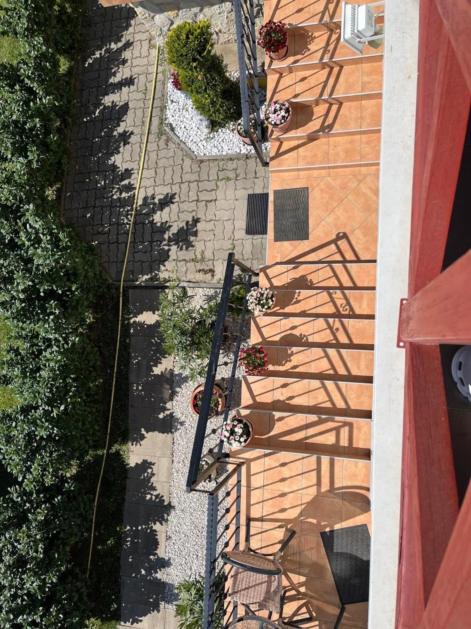 Rege 2 Apartament